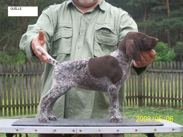 Staying in Malomkzi kennel