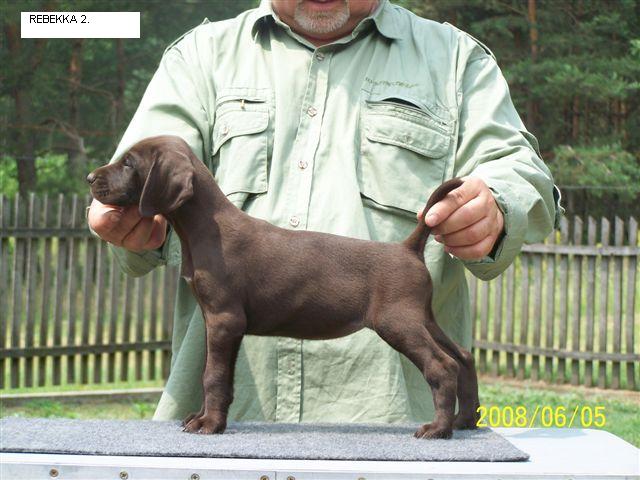 Going to the USA, to John, the owner of Dafke