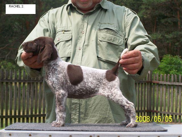 Staying in Malomkzi kennel