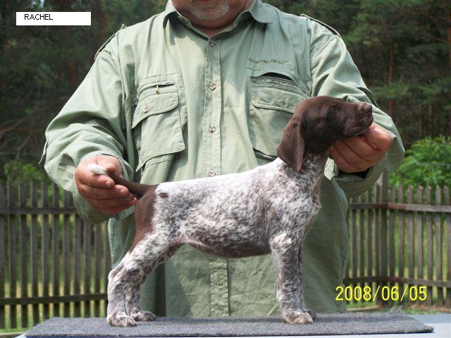 Staying in Malomkzi kennel