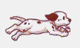 MALOMKZI KENNEL